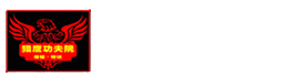 保镖学校|保镖培训|散打培训|四川南充武术学校|猎鹰功夫院|实战武术|泰拳|